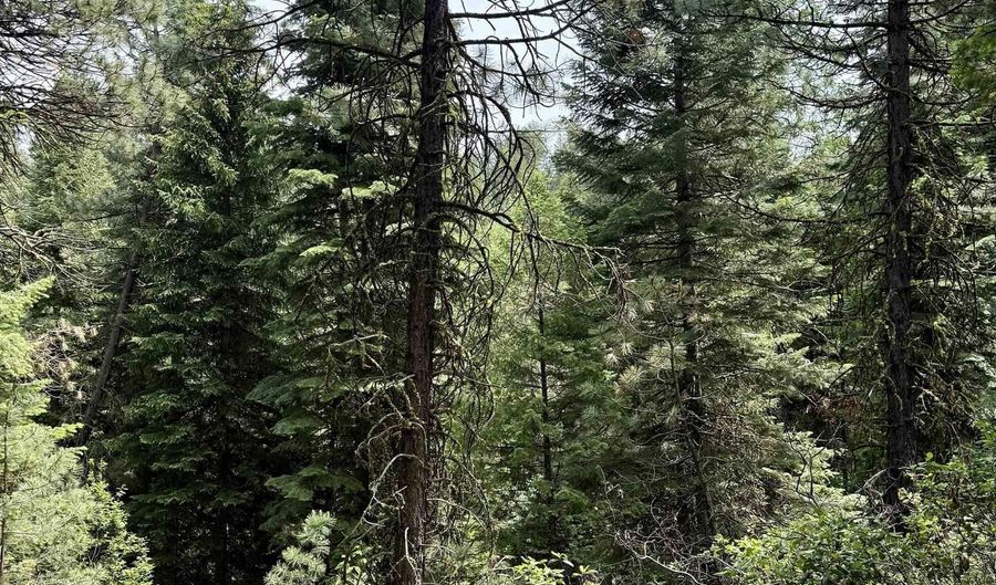 53 Landale Ln, Cascade, ID 83711 - 0 Beds, 0 Bath