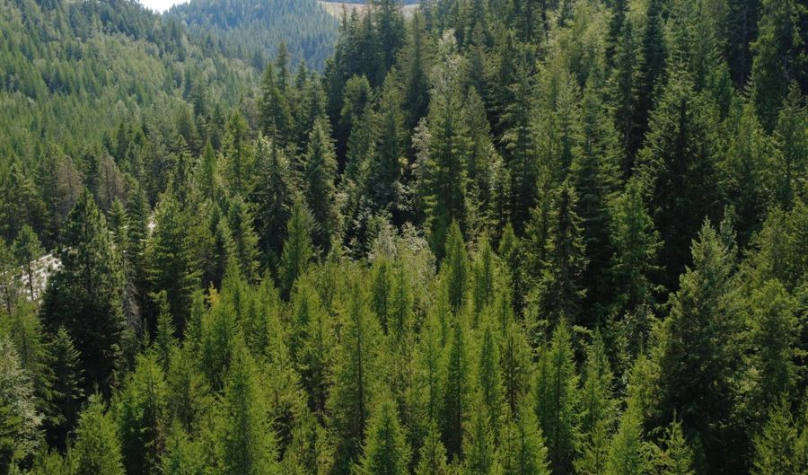 NKA HWY 95, Bonners Ferry, ID 83805 - 0 Beds, 0 Bath