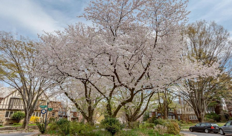 4421 VOLTA Pl NW, Washington, DC 20007 - 4 Beds, 3 Bath