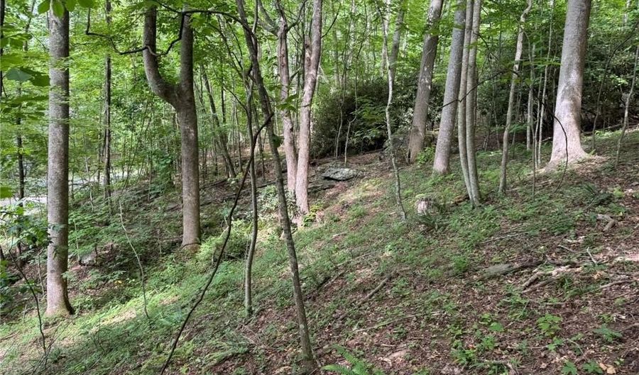 Tbd Boulder Gardens Road, Banner Elk, NC 28604 - 0 Beds, 0 Bath