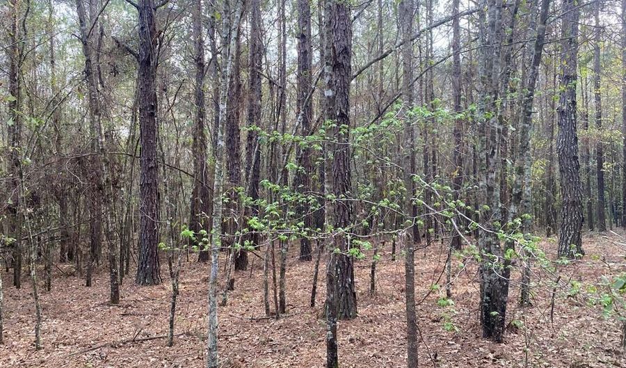 03 County Road 6650, Banks, AL 36005 - 0 Beds, 0 Bath