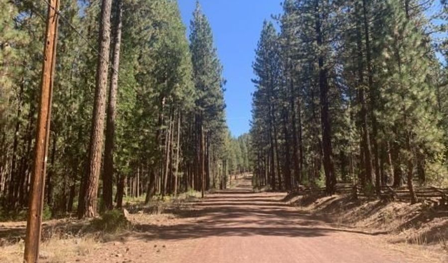 Lot 84 Edgewater Way, Adin, CA 96006 - 0 Beds, 0 Bath