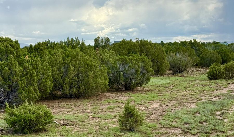 85 Co Rd 8128, Concho, AZ 85924 - 0 Beds, 0 Bath
