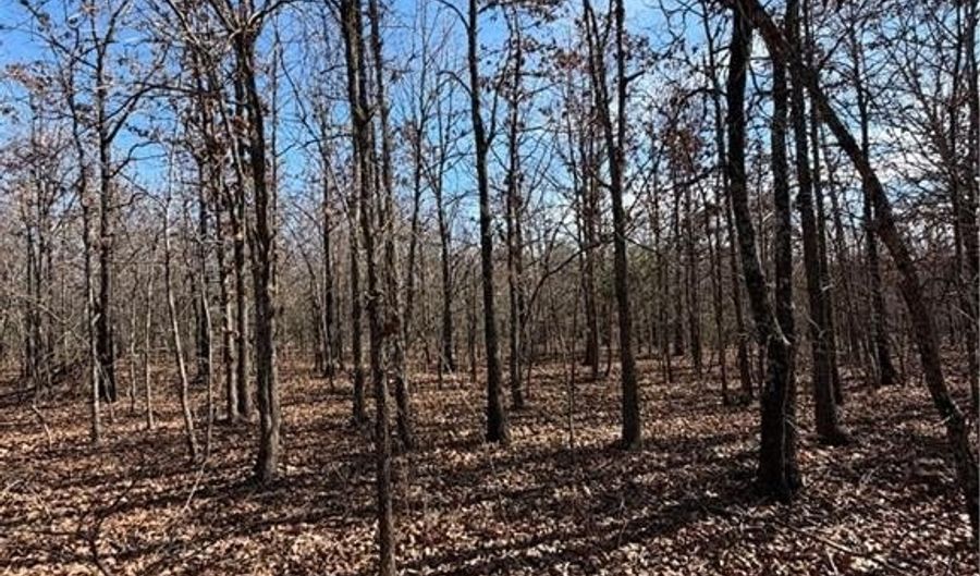 Tract 1 Rural Atoka, Atoka, OK 74525 - 0 Beds, 0 Bath