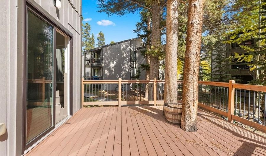 1127 SKI HILL Rd 94, Breckenridge, CO 80424 - 2 Beds, 1 Bath