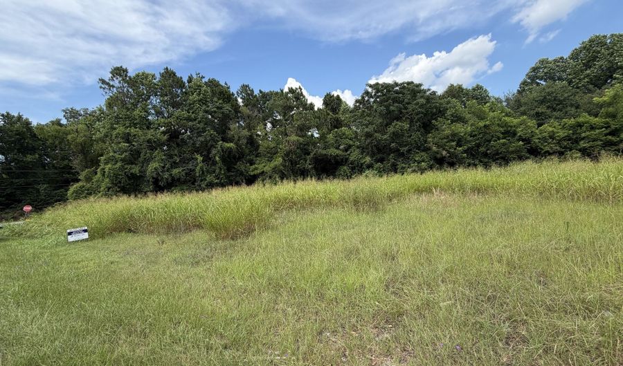 80 ACRE Monnie St, Ashburn, GA 31714 - 0 Beds, 0 Bath