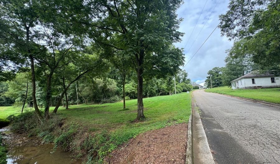 5 TH AVENUE Lot 1.6 Acres, Ashland, AL 36251 - 0 Beds, 0 Bath