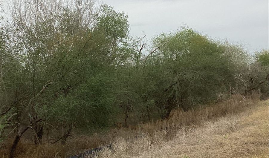 1 N Highway 281 Byp Lot 0, Alice, TX 78332 - 0 Beds, 0 Bath
