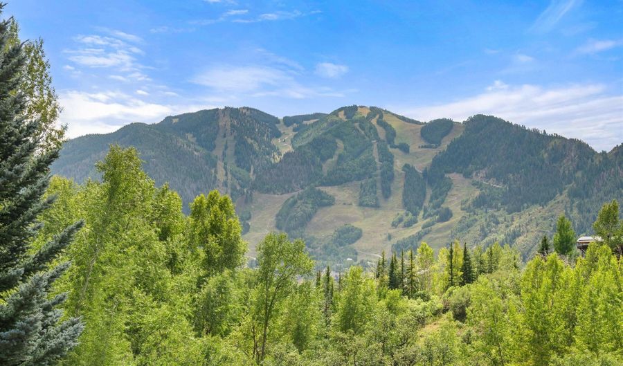 927 Red Mountain Rd, Aspen, CO 81611 - 2 Beds, 2 Bath