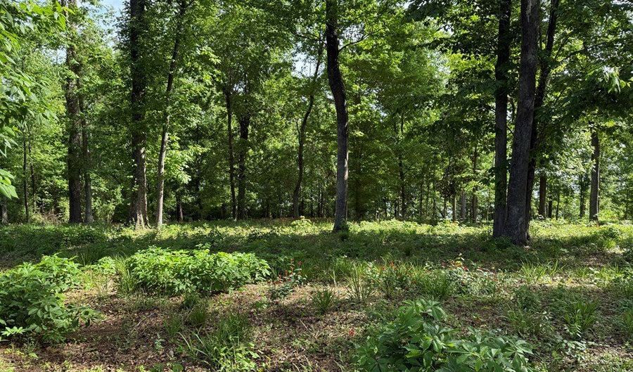Lakeshore Drive lot 3, Bainbridge, GA 39819 - 0 Beds, 0 Bath