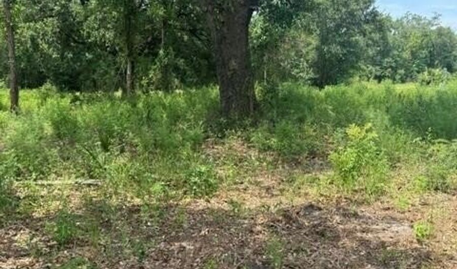 10028 E Bayou Rd Lot 599, Bay St. Louis, MS 39520 - 0 Beds, 0 Bath