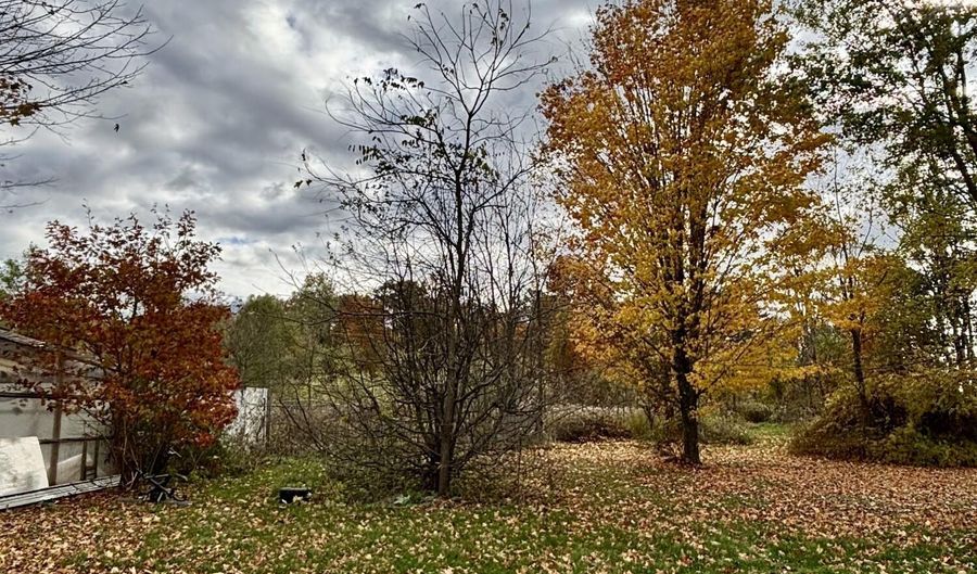 6600 Calhoun Rd, Albion, MI 49224 - 3 Beds, 1 Bath