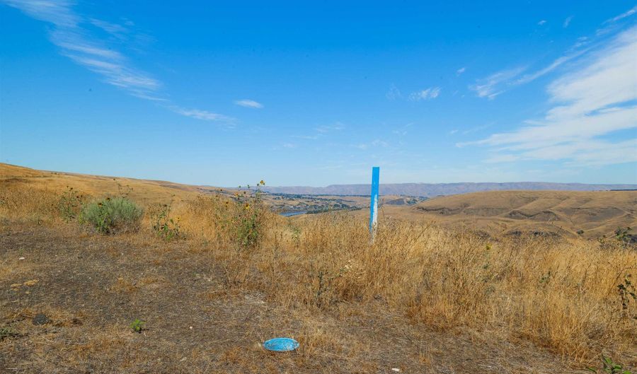 791 Swantz, Asotin, WA 99402 - 0 Beds, 0 Bath