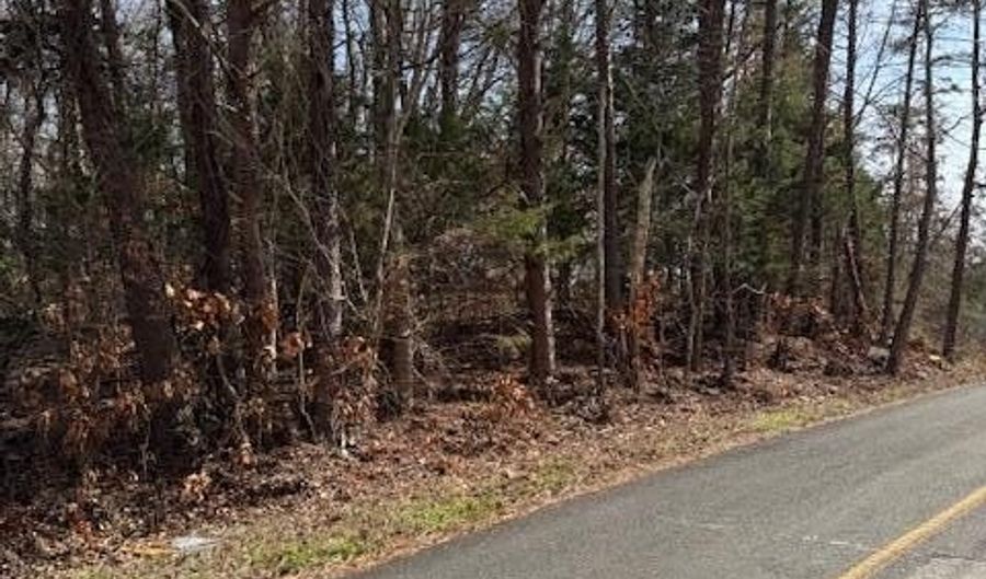 Tree Line Lane lot 1191, Baneberry, TN 37890 - 0 Beds, 0 Bath