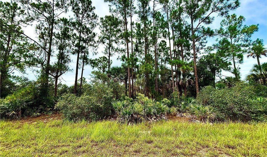 4203 E 27th St, Alva, FL 33920 - 0 Beds, 0 Bath