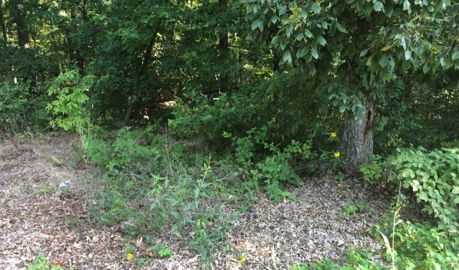 Lot 16 Bingley LN, Bella Vista, AR 72714 - 0 Beds, 0 Bath