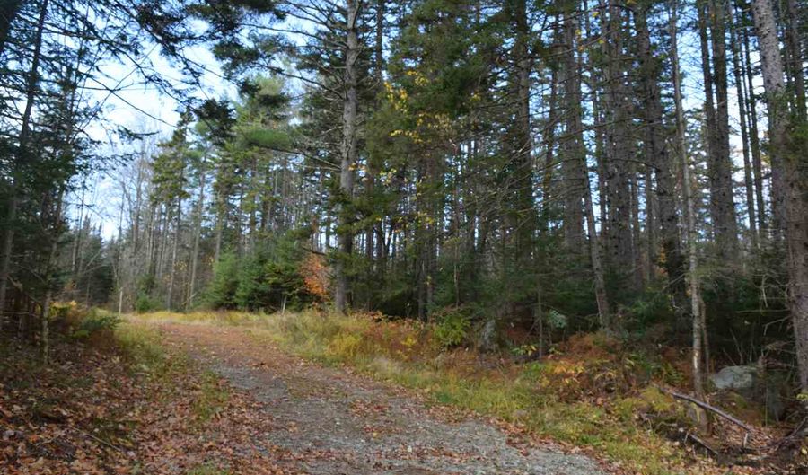 Lot 17.1 & 17.2 Dupont Road, Lunenburg, VT 05906 - 0 Beds, 0 Bath