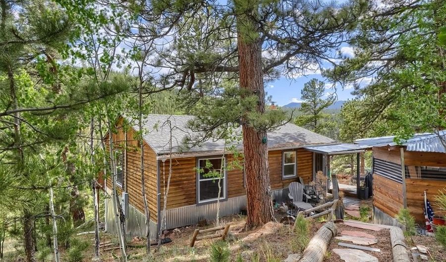 226 Hall Rd, Bailey, CO 80421 - 3 Beds, 1 Bath