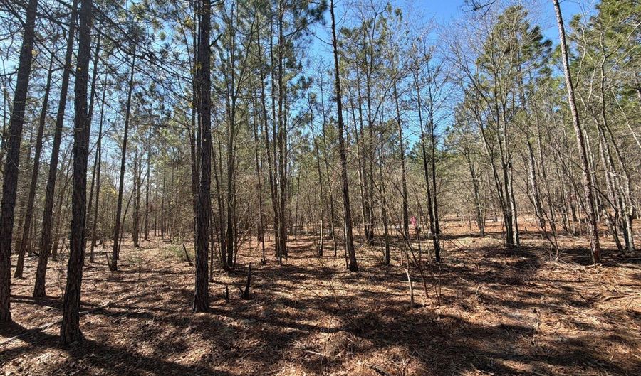 Bhl 11 Boise Cascade Bhl 11, Bethune, SC 29009 - 0 Beds, 0 Bath