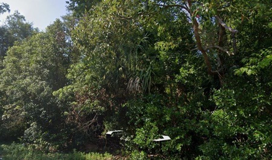 235 11th St, Apalachicola, FL 32320 - 0 Beds, 0 Bath