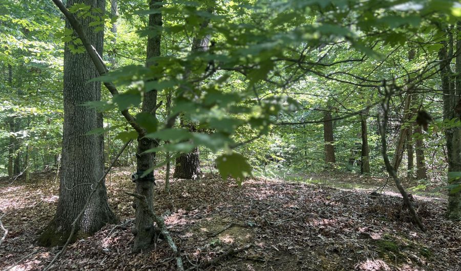 Sunny Court, Baneberry, TN 37890 - 0 Beds, 0 Bath