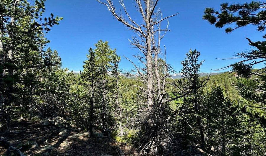 0 Pine Cone Cir Lot 46, Allenspark, CO 80540 - 0 Beds, 0 Bath