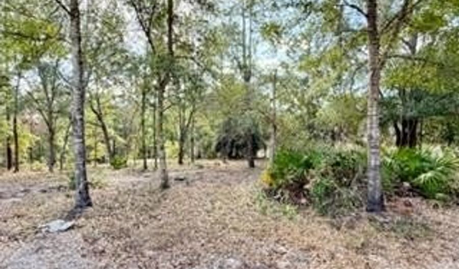 2629 NW 29th Ter, Bell, FL 32619 - 3 Beds, 2 Bath