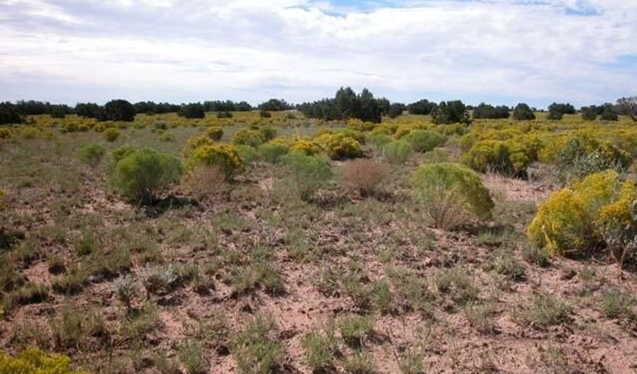 Bar Nothing Ranch Road unit 409 409, Chambers, AZ 86502 - 0 Beds, 0 Bath