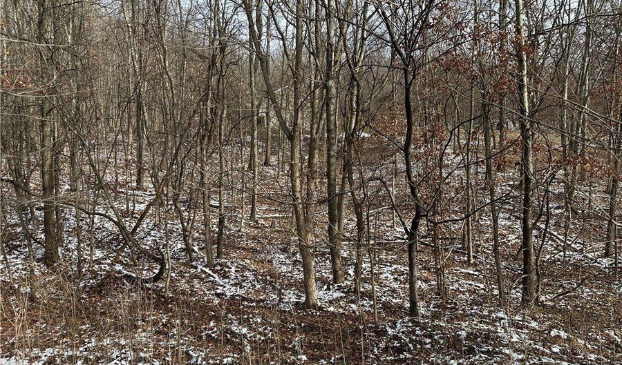 716 Rte 356, Allegheny Twp., PA 15613 - 0 Beds, 0 Bath