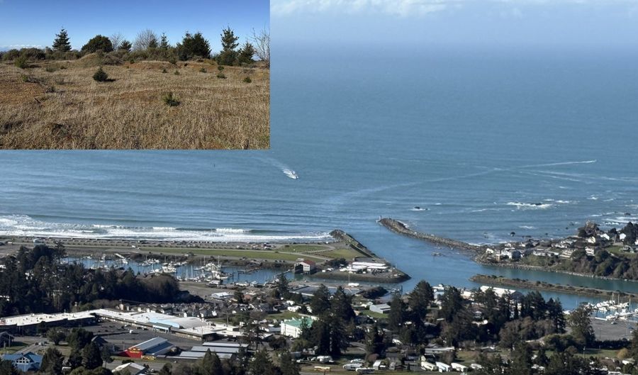 Dale Ct, Brookings, OR 97415 - 0 Beds, 0 Bath