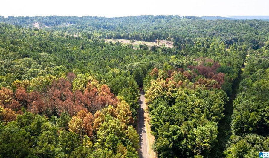 62 ACRES TONEY Dr 62 ACRES, Altoona, AL 35952 - 0 Beds, 0 Bath