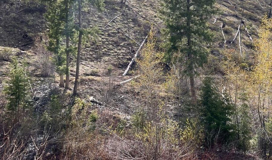 Quartz Creek Rd, Atlanta, ID 83647 - 0 Beds, 0 Bath