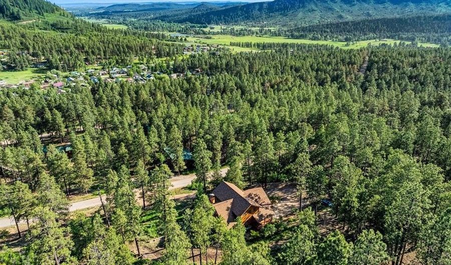 299 Antelope Dr, Bayfield, CO 81122 - 3 Beds, 3 Bath
