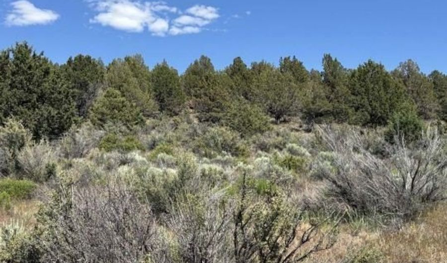 Medicine Mountain Drive, Beatty, OR 97621 - 0 Beds, 0 Bath