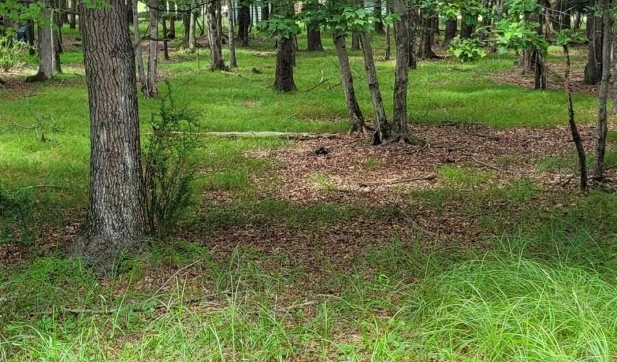 203 Foothill Rd, Albrightsville, PA 18210 - 0 Beds, 0 Bath