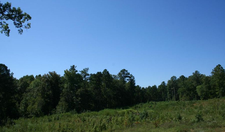 Lot E Dozier Road, Appling, GA 30802 - 0 Beds, 0 Bath