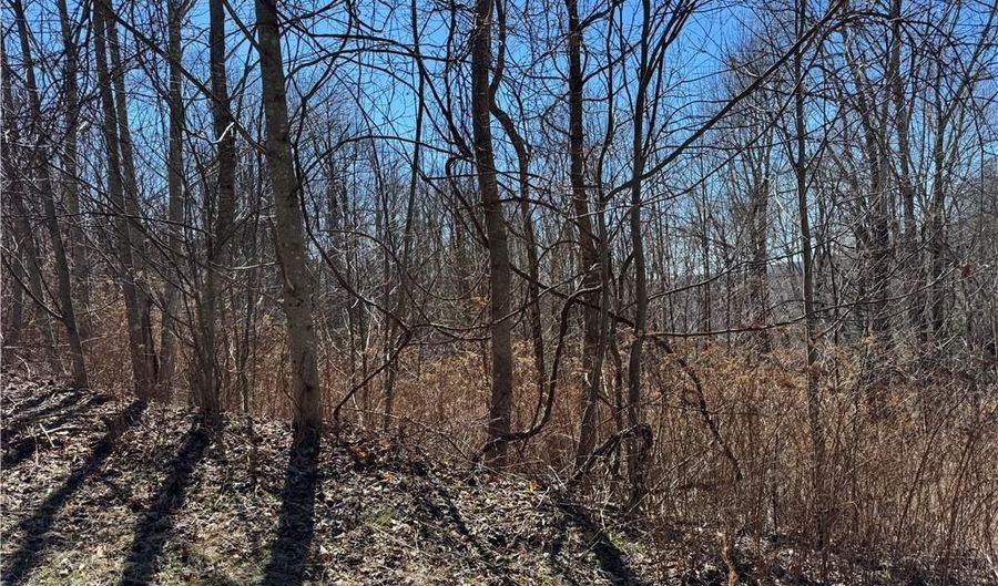 Lot # 70 Tall Tree Lane, Banner Elk, NC 28604 - 0 Beds, 0 Bath