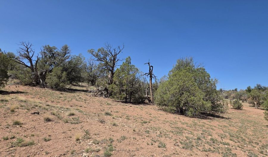 8200 W Rolling Ridge Rd, Ash Fork, AZ 86320 - 2 Beds, 2 Bath
