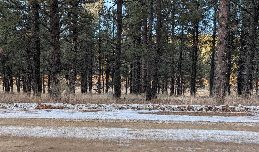 Valle Grande Trail S lot 1315, Angel Fire, NM 87710 - 0 Beds, 0 Bath