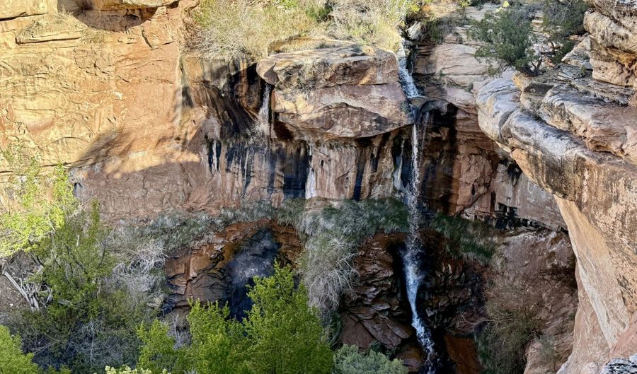 TBD X4 Road, Bedrock, CO 81411 - 0 Beds, 0 Bath