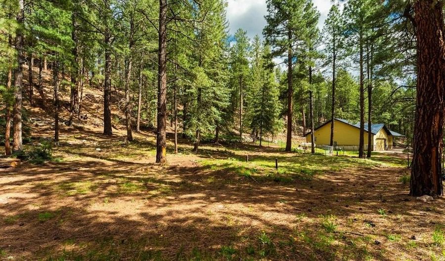 12316 County Road 501, Bayfield, CO 81122 - 3 Beds, 2 Bath