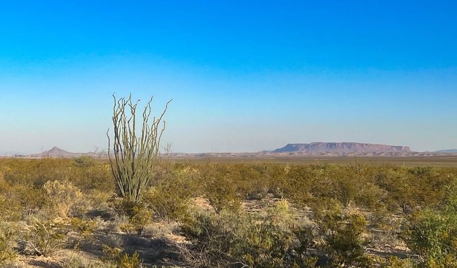 25-3 S Hwy 118, Alpine, TX 79830 - 0 Beds, 0 Bath