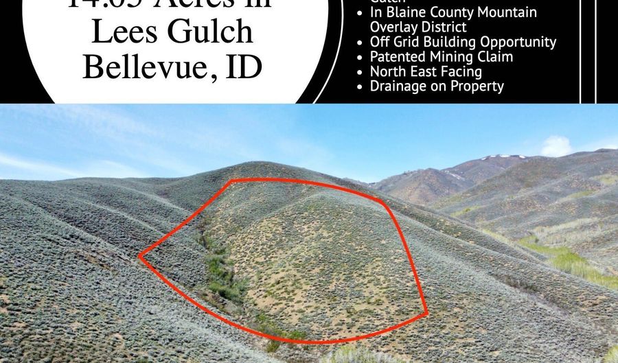 TBD Lees Gulch Rd, Bellevue, ID 83313 - 0 Beds, 0 Bath