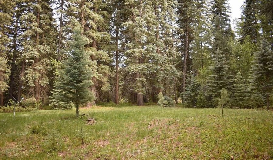 Vallecito Pl, Bayfield, CO 81122 - 0 Beds, 0 Bath