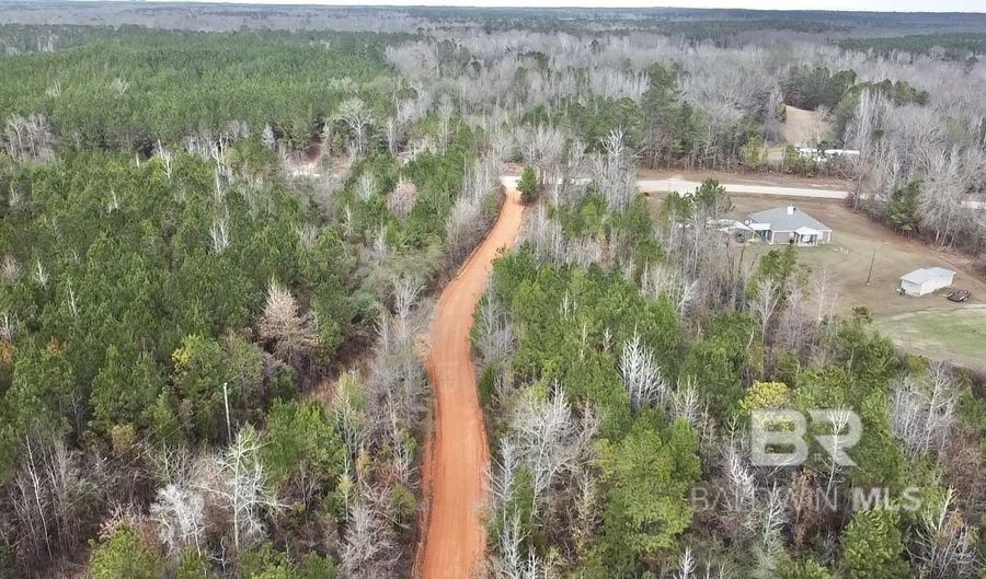 21000 Block Highway 21, Beatrice, AL 36425 - 0 Beds, 0 Bath
