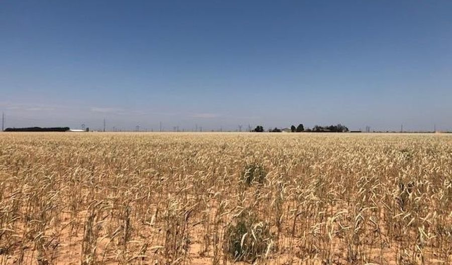 FM 2060, Abernathy, TX 79311 - 0 Beds, 0 Bath