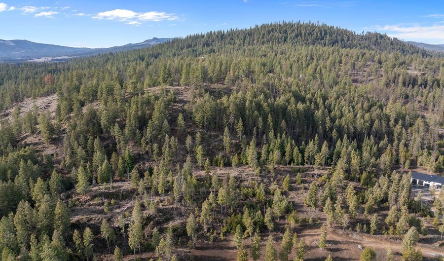 NKA Healing Dr. Lot 2 and Lot 3, Blanchard, ID 83804 - 0 Beds, 0 Bath