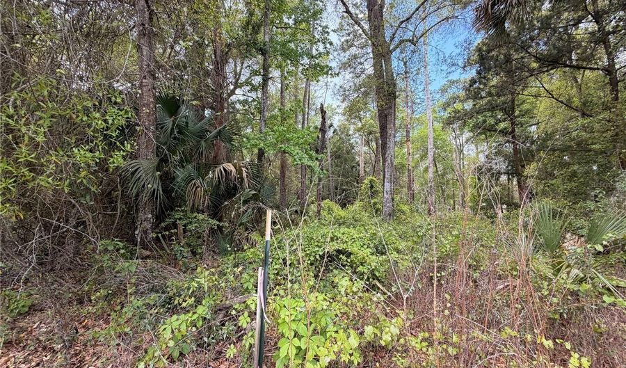 COUNTY ROAD 445A, Astor, FL 32102 - 0 Beds, 0 Bath