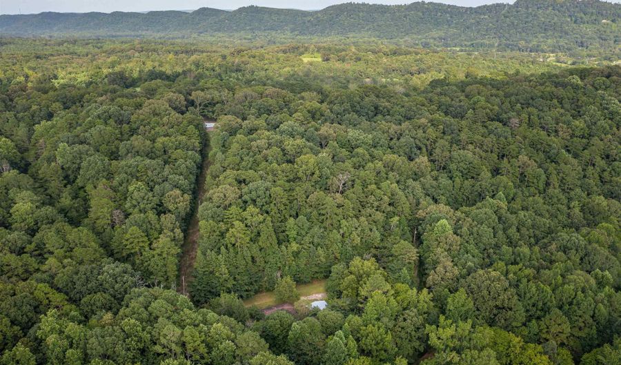 160 Mill Hill Rd, Attalla, AL 35954 - 3 Beds, 2 Bath