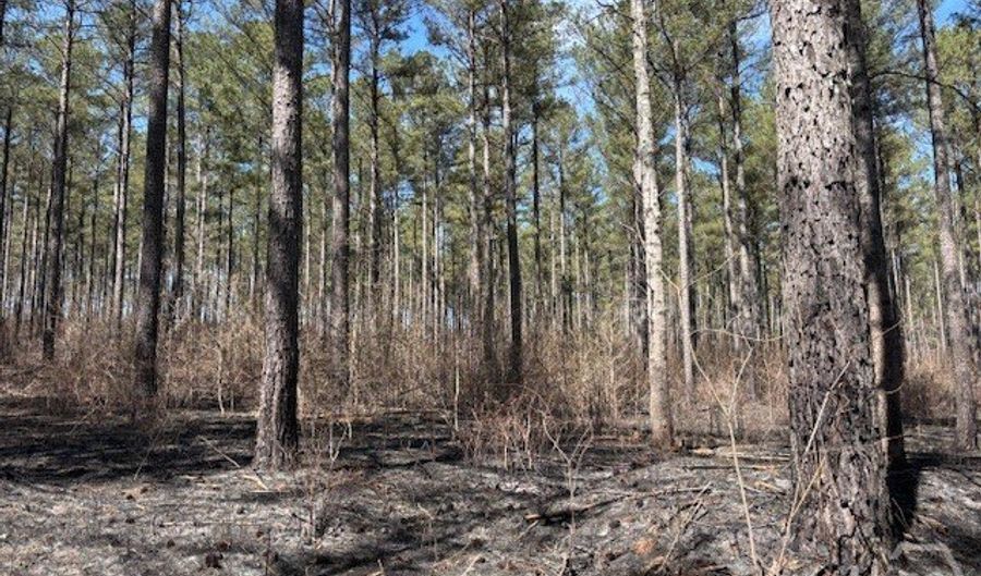 Faust Farm Rd, Arnoldsville, GA 30619 - 0 Beds, 0 Bath
